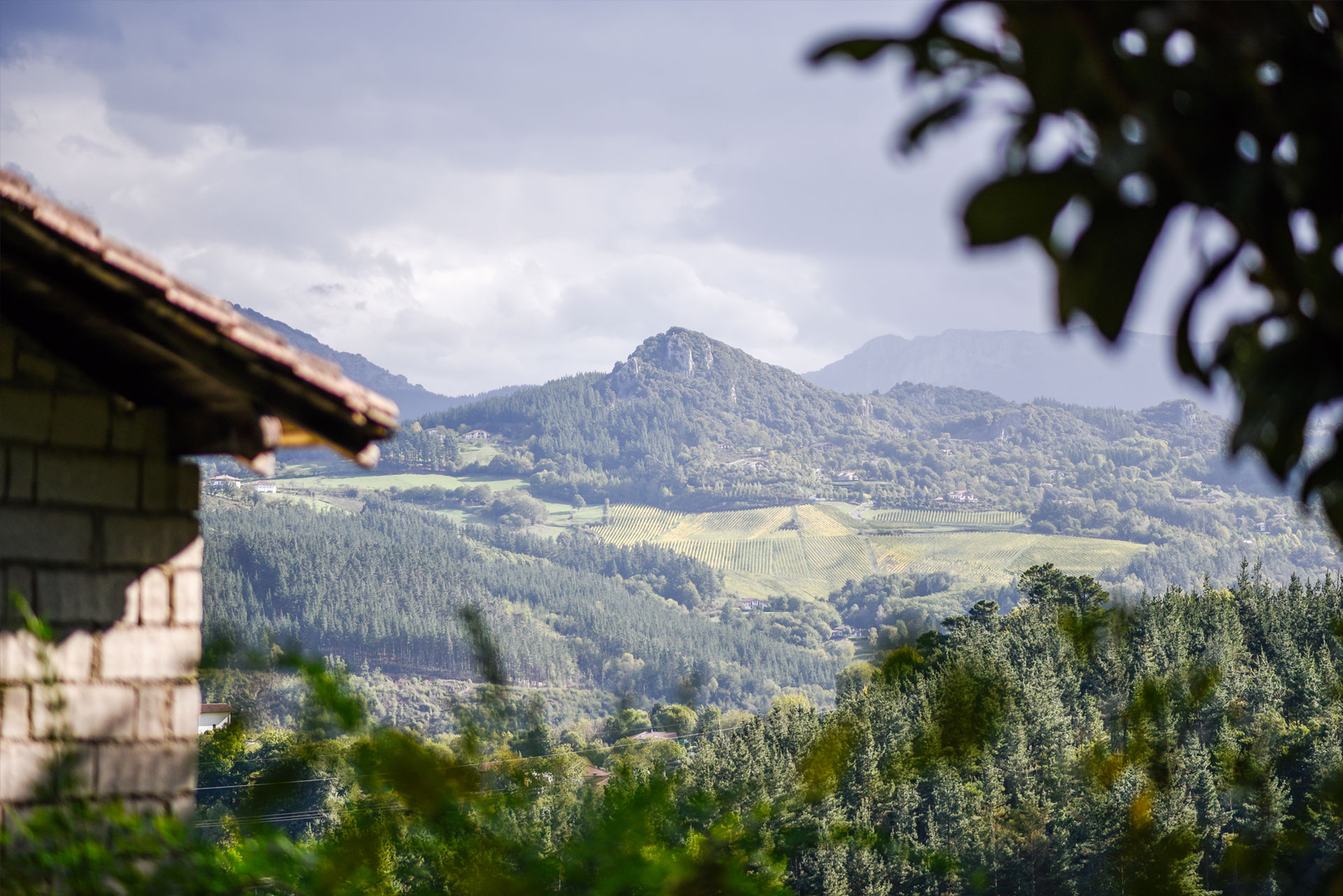 Imagen de vistas desde la casa