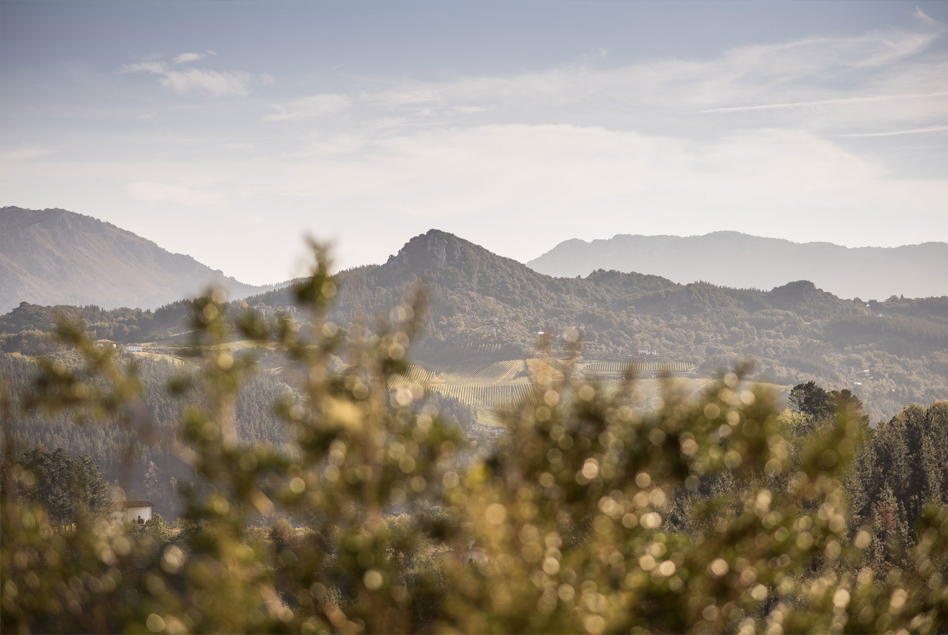 imagen vistas desde la casa